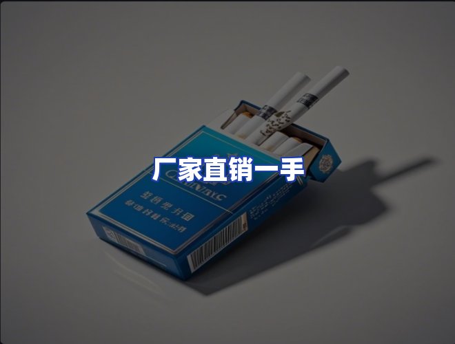 专业团队